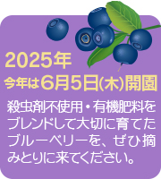 2024N̊Ĵm点@N613I[vłB݂Ȃ܂̂ł҂Ă܂B